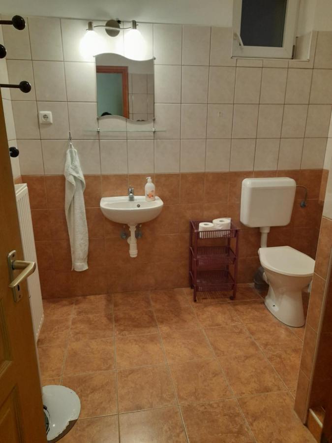 Anna Vendeghaz Szeleste Exteriér fotografie